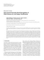 Deep Neural Networks Based Recognition of Plant Diseases by Leaf Image Classification