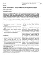 ROS homeostasis and metabolism: a dangerous liaison in cancer cells