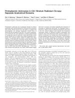 Protoplasmic Astrocytes in CA1 Stratum Radiatum Occupy Separate Anatomical Domains