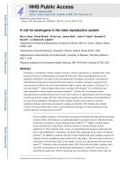 A role for oestrogens in the male reproductive system