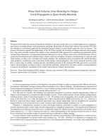 Phase Field Cohesive Zone Modeling for Fatigue Crack Propagation in Quasi-Brittle Materials