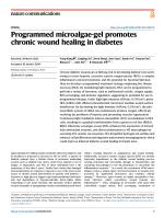 Programmed microalgae-gel promotes chronic wound healing in diabetes