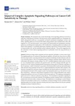 Impact of Complex Apoptotic Signaling Pathways on Cancer Cell Sensitivity to Therapy