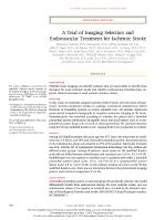 A Trial of Imaging Selection and Endovascular Treatment for Ischemic Stroke