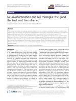 Neuroinflammation and M2 microglia: the good, the bad, and the inflamed