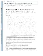 Mechanobiology of YAP and TAZ in physiology and disease