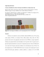 Cesium Lead Halide Perovskites with Improved Stability for Tandem Solar Cells