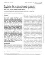 Predicting the functional impact of protein mutations: application to cancer genomics