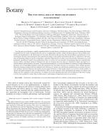 THE FUNCTIONAL ROLE OF PRODUCER DIVERSITY IN ECOSYSTEMS