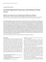 Neurodevelopmental Trajectories of the Human Cerebral Cortex