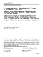 European Guidelines on Cardiovascular Disease Prevention in Clinical Practice (Version 2012)