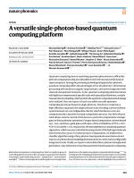 A versatile single-photon-based quantum computing platform