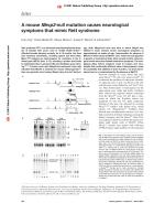 A mouse MeCP2-null mutation causes neurological symptoms that mimic Rett syndrome