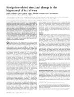 Navigation-related structural change in the hippocampi of taxi drivers