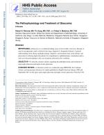 The Pathophysiology and Treatment of Glaucoma: A Review