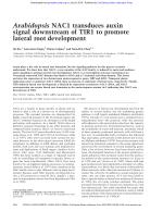 Arabidopsis NAC1 transduces auxin signal downstream of TIR1 to promote lateral root development
