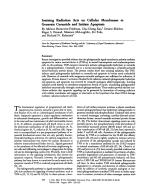 Ionizing Radiation Acts on Cellular Membranes to Generate Ceramide and Initiate Apoptosis