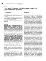 From acute ER stress to physiological roles of the Unfolded Protein Response