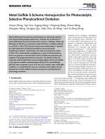 Metal Sulfide S-Scheme Homojunction for Photocatalytic Selective Phenylcarbinol Oxidation
