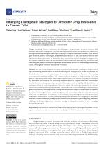 Emerging Therapeutic Strategies to Overcome Drug Resistance in Cancer Cells