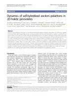 Dynamics of self-hybridized exciton–polaritons in 2D halide perovskites