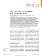 Coronaviruses — drug discovery and therapeutic options