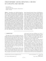 STRATOSPHERIC OZONE DEPLETION: A REVIEW OF CONCEPTS AND HISTORY