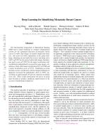 Deep Learning for Identifying Metastatic Breast Cancer