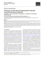 Chainsaw: protein domain segmentation with fully convolutional neural networks
