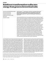 Rainforest transformation reallocates energy from green to brown food webs
