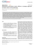 Modulating extracellular matrix stiffness: a strategic approach to boost cancer immunotherapy