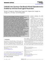 Colloidal InAs Quantum Dot-Based Infrared Optoelectronics Enabled by Universal Dual-Ligand Passivation