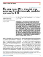 The aging mouse CNS is protected by an autophagy-dependent microglia population promoted by IL-34