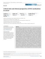 Critical roles and clinical perspectives of RNA methylation in cancer
