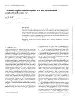 Turbulent amplification of magnetic field and diffusive shock acceleration of cosmic rays