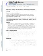 Alternative splicing as a regulator of development and tissue identity
