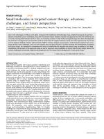 Small molecules in targeted cancer therapy: advances, challenges, and future perspectives