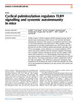 Cyclical palmitoylation regulates TLR9 signalling and systemic autoimmunity in mice