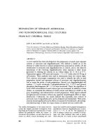 PREPARATION OF SEPARATE ASTROGLIAL AND OLIGODENDROGLIAL CELL CULTURES FROM RAT CEREBRAL TISSUE