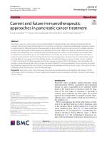 Current and future immunotherapeutic approaches in pancreatic cancer treatment