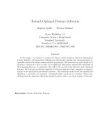 Toward Optimal Feature Selection