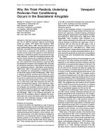 Why We Think Plasticity Underlying Pavlovian Fear Conditioning Occurs in the Basolateral Amygdala