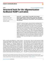Structural basis for the oligomerization-facilitated NLRP3 activation