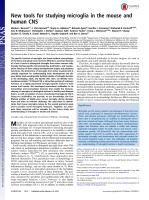 New tools for studying microglia in the mouse and human CNS