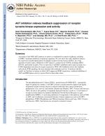 AKT inhibition relieves feedback suppression of receptor tyrosine kinase expression and activity