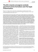 The BCL-6 proto-oncogene controls germinal-centre formation and Th2-type inflammation