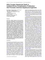 IKKβ Couples Hepatocyte Death to Cytokine-Driven Compensatory Proliferation that Promotes Chemical Hepatocarcinogenesis
