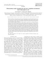 Photosynthesis under drought and salt stress: regulation mechanisms from whole plant to cell