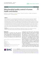 Mitochondrial quality control in human health and disease