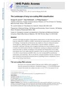 The Landscape of long non-coding RNA classification